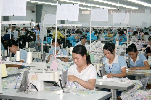Định hướng nghề nghiệp, giải quyết việc làm