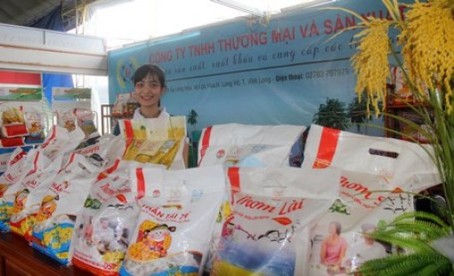 Kinh tế lúa gạo và biến đổi khí hậu ở ĐBSCL