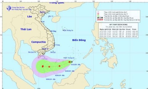 Đề phòng gió giật cấp 10 do ảnh hưởng vùng áp thấp