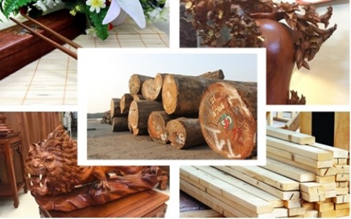 Ngành lâm nghiệp phấn đấu xuất khẩu 10,5 tỉ USD năm 2019