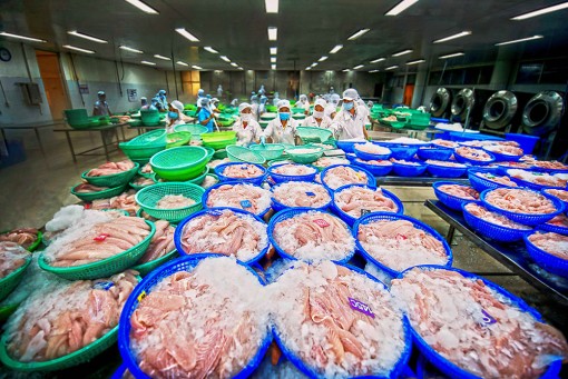 14 doanh nghiệp An Giang được bình chọn Hàng Việt Nam chất lượng cao