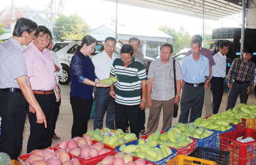 Cơ hội vào Châu Âu của nông sản An Giang