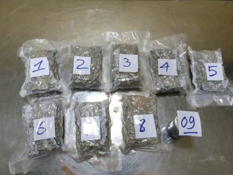 Việt kiều mang 2,3kg ma túy từ Mỹ về Việt Nam qua đường hàng không