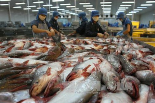 Ngành thủy sản dồn sức cho 3 ‘mũi nhọn’ chiến lược