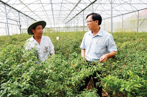 Thích ứng với biến đổi khí hậu