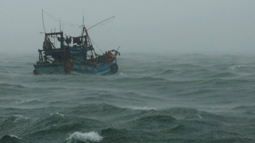 Bão số 1 gây mưa dông, lốc xoáy, gió giật và ngập úng khu vực Tây Nam Bộ