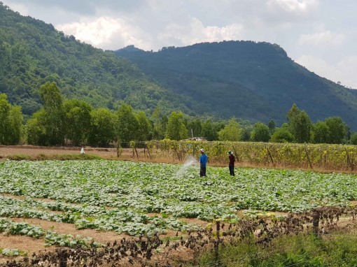 Tri Tôn tăng tốc năm 2019