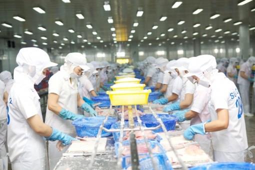 Đồng Tháp: Xuất khẩu tăng trưởng ngoạn mục