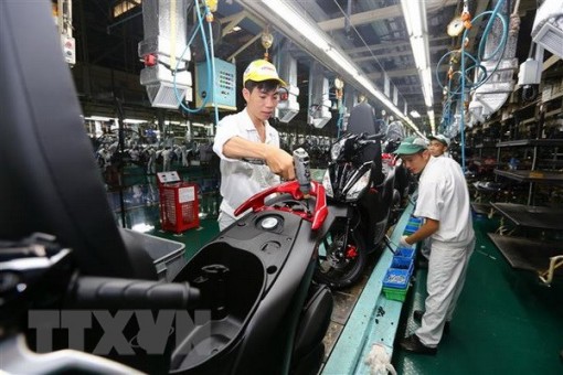 Fitch Solutions: Kinh tế Việt Nam tăng trưởng cao nhất trong 11 năm