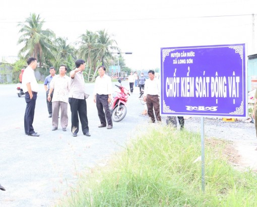 Long An: Thành lập chốt kiểm soát động vật ở Cần Đước