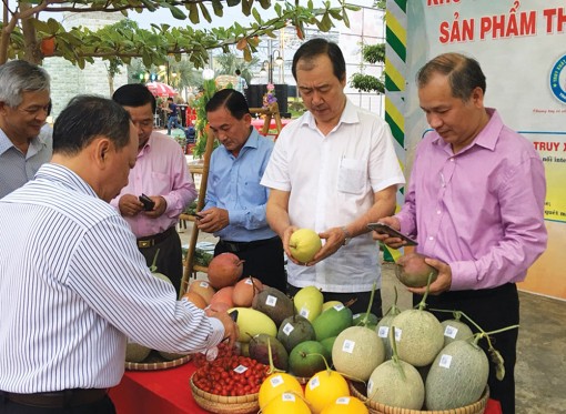 Từ ngày 12 đến 14-1: Diễn ra phiên Chợ Xanh lần thứ nhất tại TP. Long Xuyên