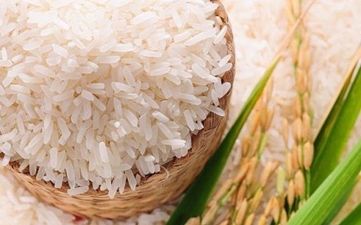 13 sản phẩm nông nghiệp chủ lực quốc gia