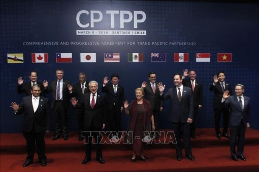 Hiệp định CPTPP chính thức có hiệu lực đối với Việt Nam từ 14-1