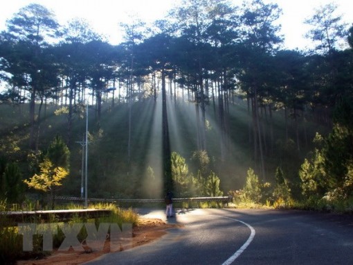 Miền Bắc chỉ rét về đêm và sáng, nhiệt độ Hà Nội lên tới 24 độ C