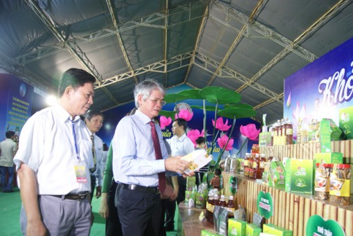 Kinh tế tỉnh Đồng Tháp tiếp tục phát triển