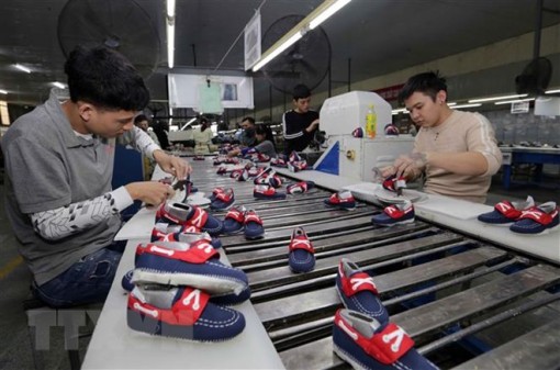 CPTPP: Cánh cửa lớn nhưng nhiều thách thức đối với Việt Nam