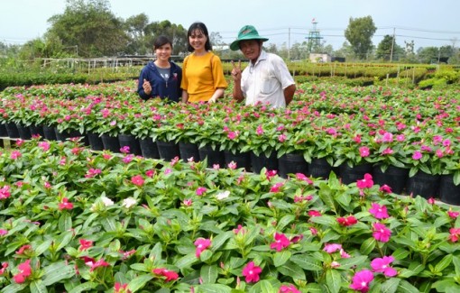 Đất "Người tình" thêm nữa một loài hoa