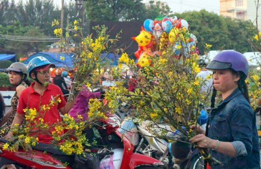 Chợ mai ngày xuân
