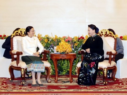 Chủ tịch Quốc hội Nguyễn Thị Kim Ngân hội kiến Chủ tịch Quốc hội Lào