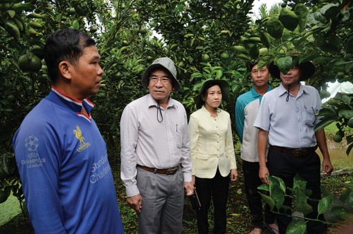 Châu Thành phát huy thế mạnh sản xuất nông nghiệp