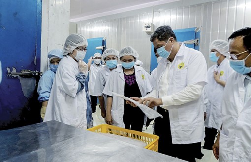 Cần Thơ thành lập 1.500 doanh nghiệp mới