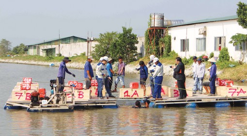 Công nghệ tiên tiến, tạo đà phát triển