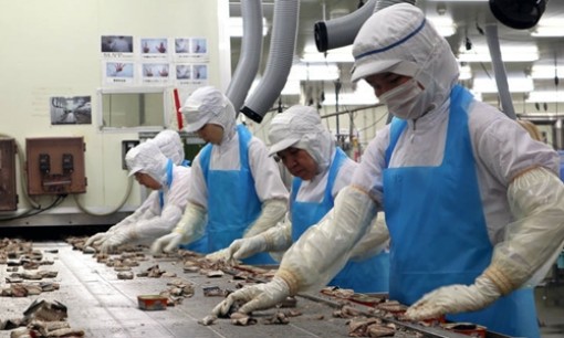 Việt Nam sẽ đưa 120.000 lao động đi làm việc ở nước ngoài năm 2019