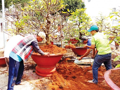 Dịch vụ ăn theo mùa Tết