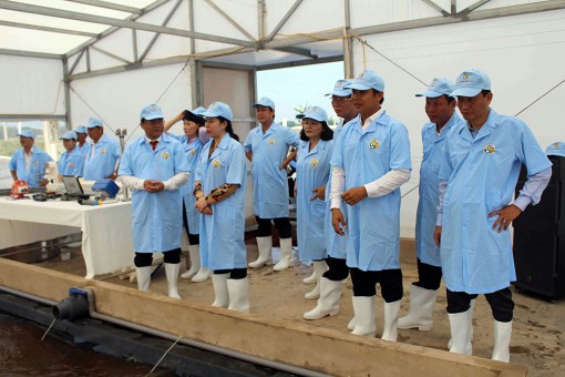 Nhiều giải pháp để kinh tế Tân Châu phát triển