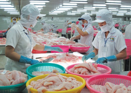 Kỳ vọng của ngành cá tra trong năm mới