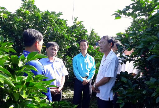 Phú Tân khởi đầu năm mới nhiều kỳ vọng