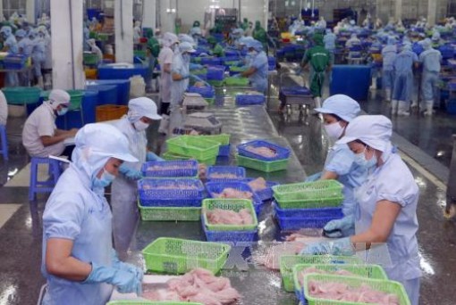 Xúc tiến thương mại cho sản phẩm, ngành hàng có tiềm năng xuất khẩu