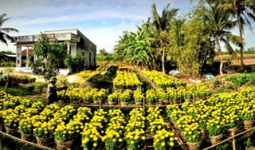 Sắc xuân ở làng nghề