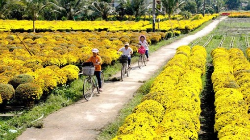 Bến Tre tăng tốc, bứt phá