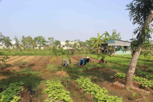 Đón Tết trong trung tâm cai nghiện