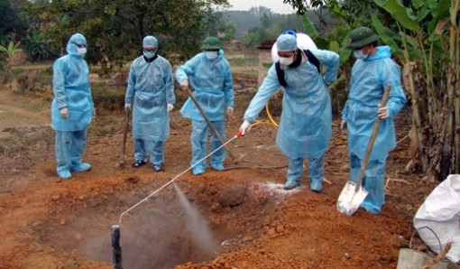 An Giang chủ động phòng chống dịch bệnh vật nuôi