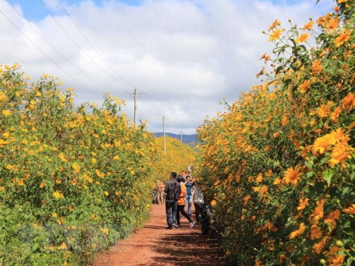Bắc Bộ chỉ rét về đêm và sáng sớm, Nam Bộ có nơi nóng trên 34 độ C
