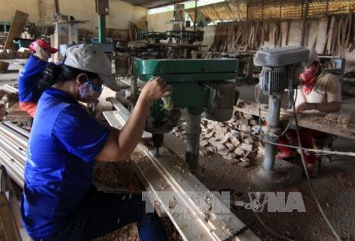Tháng 1, xuất khẩu lâm sản tăng 11%