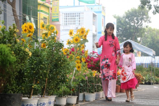 Nhộn nhịp chợ hoa xuân TP.Cao Lãnh