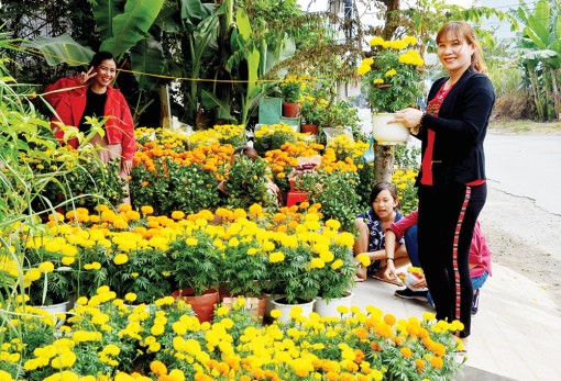 Chợ quê ngày Tết