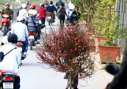 Xu thế thời tiết từ 29 tháng Chạp đến mùng 7 Tết Nguyên đán Kỷ Hợi