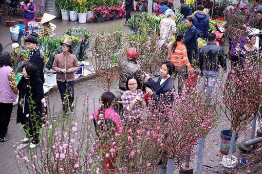 Dự báo thời tiết ngày 29 Tết: Miền Bắc có mưa nhỏ, sương mù nhẹ