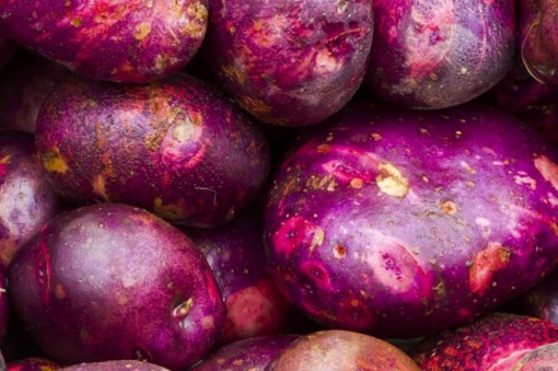 Xu hướng dinh dưỡng trong năm 2019