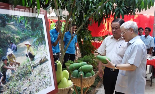 Xuân về trên các Hội quán nông dân ở Đồng Tháp