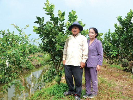 “Nông dân Việt Nam xuất sắc” trên quê hương An Giang