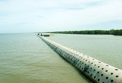 Cà Mau ứng phó sạt lở và bảo vệ bờ biển bằng đê trụ rỗng