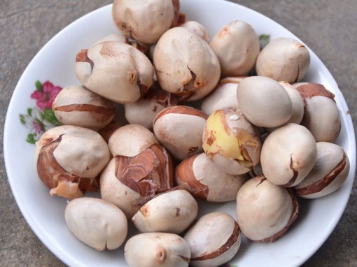 Những lợi ích sức khỏe tuyệt vời của hạt mít mà bạn chưa biết