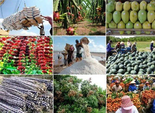'Đón đầu' cơ hội, xuất khẩu nông sản 2019 hy vọng vào một khởi sắc mới