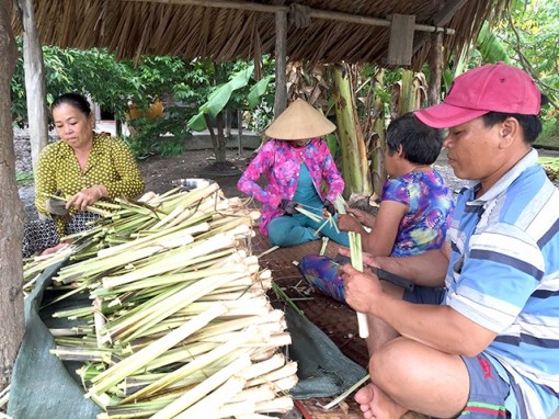 Bồn bồn Cà Mau - cung không đủ cầu