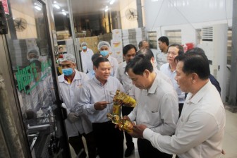 Bộ trưởng Nguyễn Xuân Cường “đặt hàng” Tập đoàn Sao Mai xây dựng Viện nghiên cứu cá tra